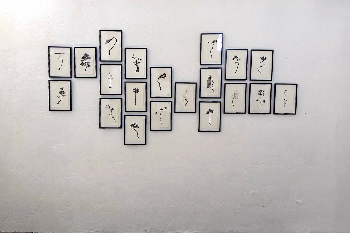 RESONARE, Galerie im Bonifatiusturm, Röthenbach &ndash; Nature Studies