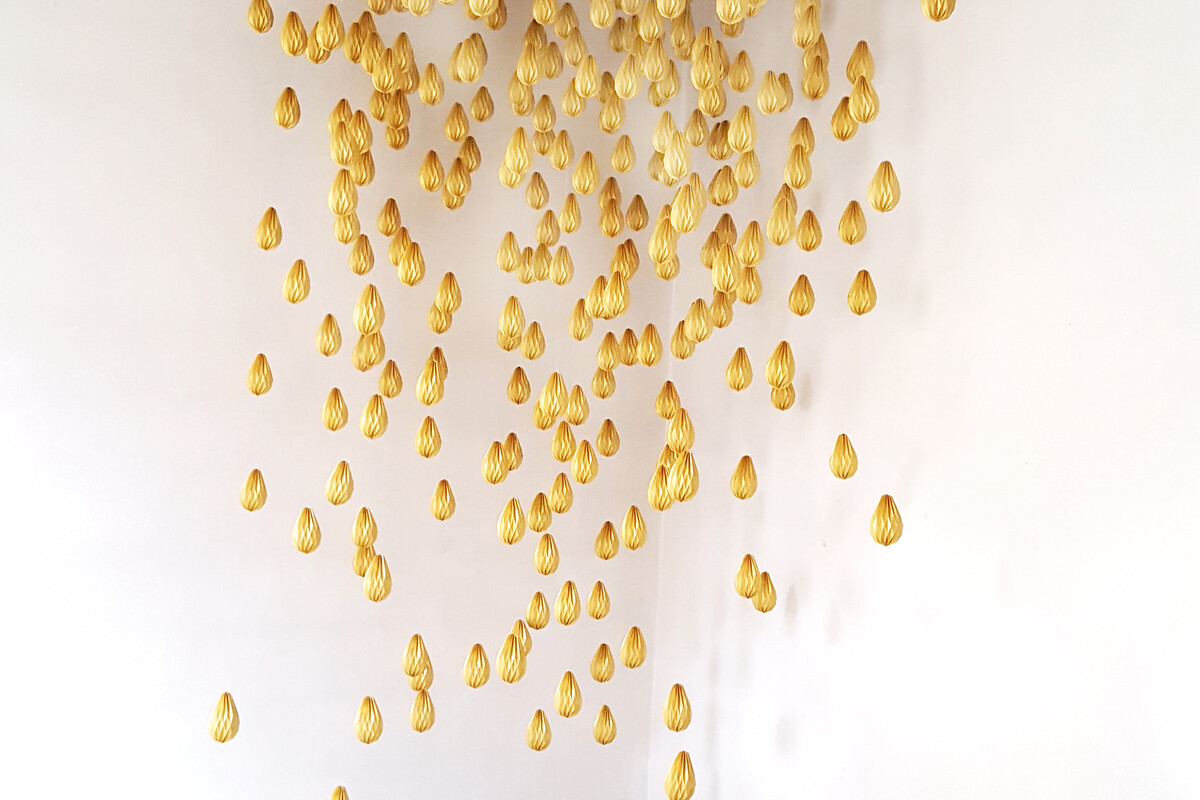 Ortung 12 - Im Zeichen des Goldes, Biennale, Schwabach &ndash; Regen, Schildkröte