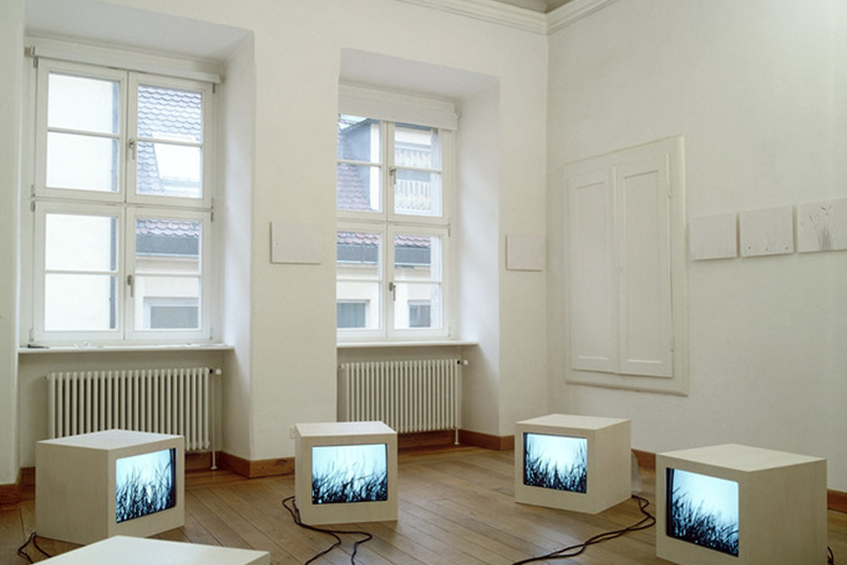 Wiese - Kunstverein, Bayreuth &ndash; Wiese