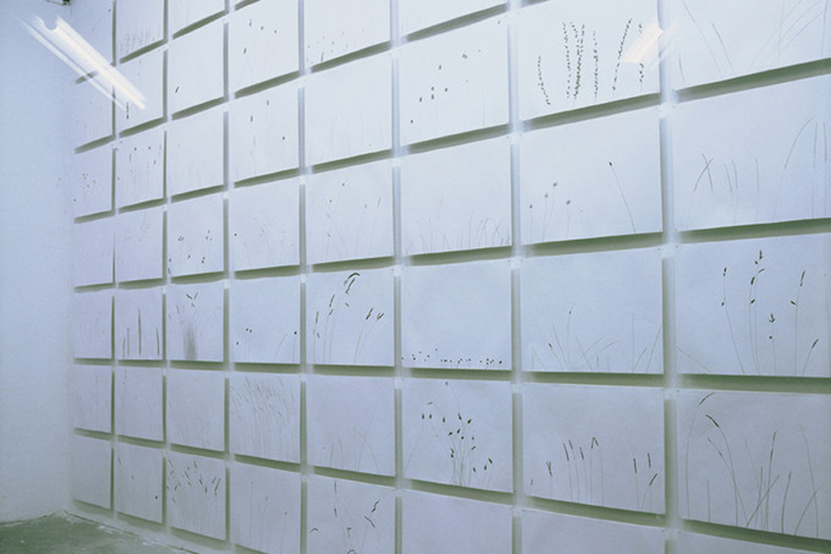 Gras - die vitrine, showroom für junge Kunst, Nürnberg &ndash; Gras