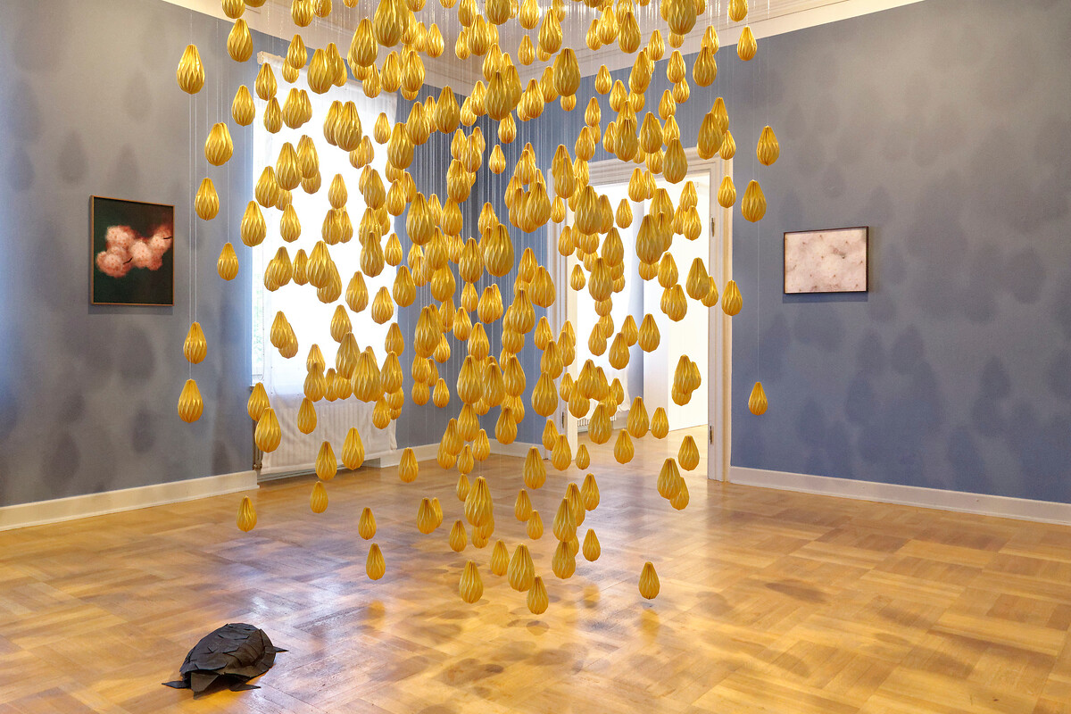 on paper - Kunstmuseum Erlangen &ndash; Regen, Schildkröte