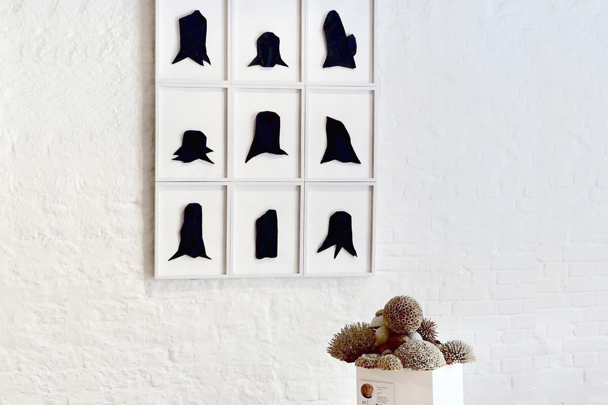 Paper for future - Schloß Ritzebüttel &ndash; Neue Bilder vom Wald