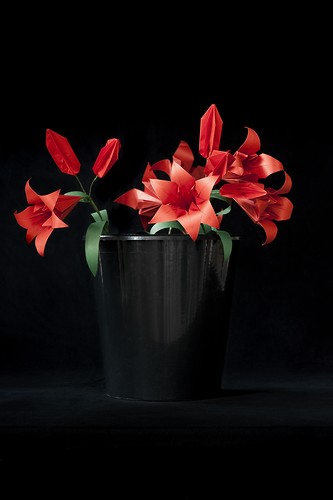 Lilien, 2010/11, Origami, Photodruck, Plexiglaskaschierung, Maße variabel (Foto: Jens Wegener)