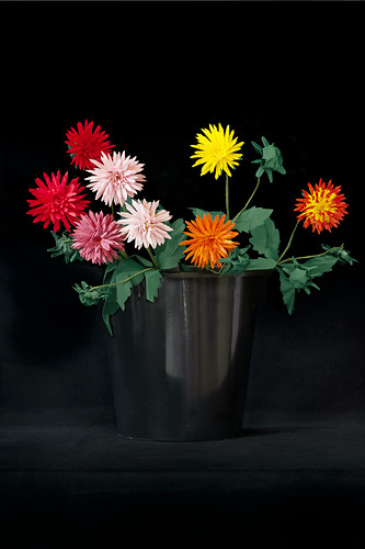 Kaktusdahlien, 2010/11, Origami, Photodruck, Plexiglaskaschierung, Maße variabel (Foto: Jens Wegener)