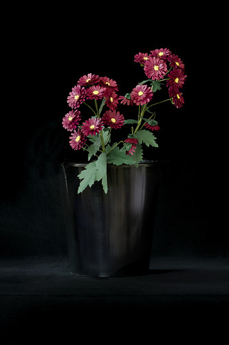 Chrysanthemen, 2010/11, Origami, Photodruck, Plexiglaskaschierung, Maße variabel (Foto: Jens Wegener)