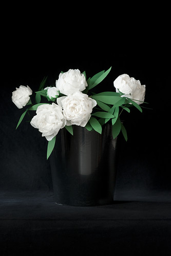 Pfingstrosen, 2010/11, Origami, Photodruck, Plexiglaskaschierung, Maße variabel (Foto: Jens Wegener)