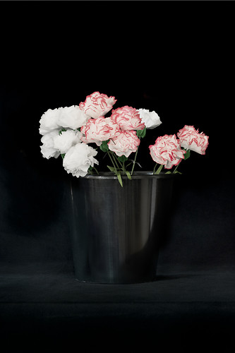 Nelken, 2010/11, Origami, Photodruck, Plexiglaskaschierung, Maße variabel (Foto: Jens Wegener)