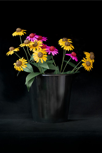 Sonnenhut, 2010/11, Origami, Photodruck, Plexiglaskaschierung, Maße variabel (Foto: Jens Wegener)