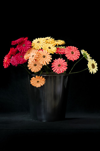 Gerbera, 2010/11, Origami, Photodruck, Plexiglaskaschierung, Maße variabel (Foto: Jens Wegener)