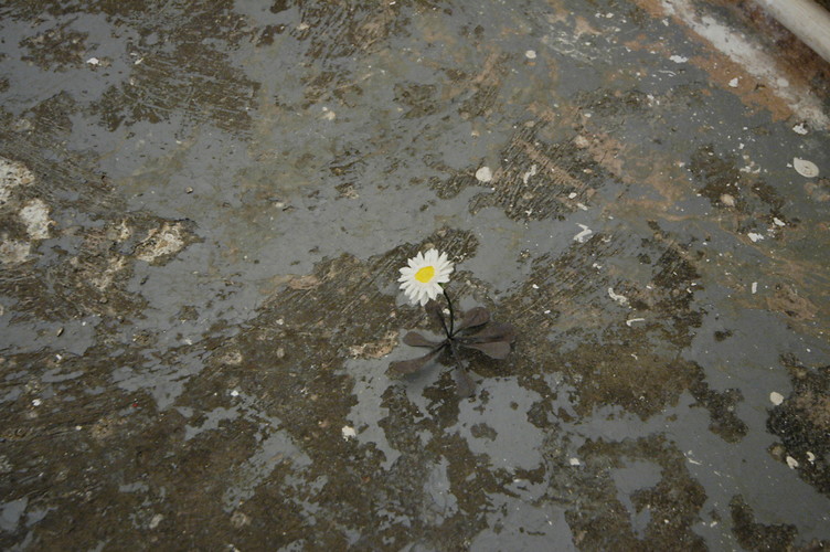 Orakel, Detail (Foto: Andrea Sohler)