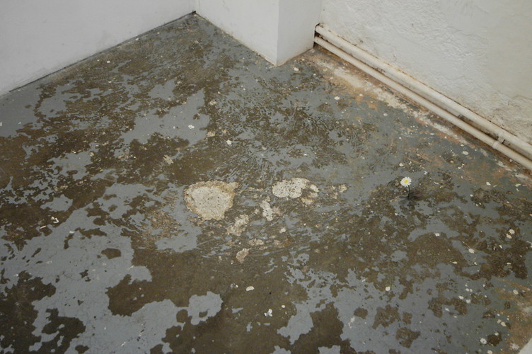 Orakel (Foto: Andrea Sohler)