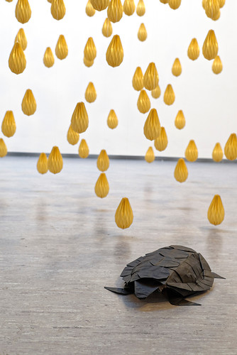 Regen, Schildkröte (Foto: Christian Dümmler)