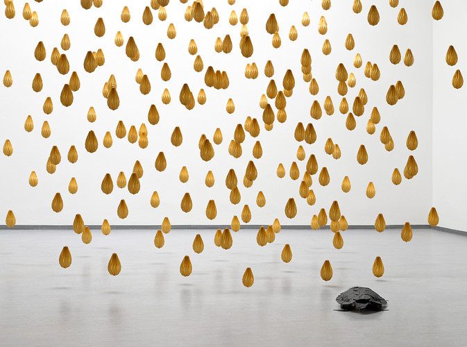 Regen + Schildkröte (Foto: Christian Dümmler)