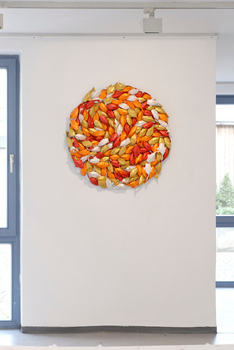 Kois (Foto: Christian Dümmler)