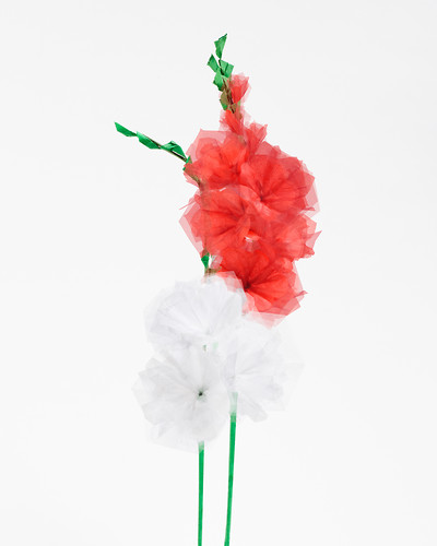 Gardening (Gladiolen rot, weiß), 2015, Origami, Giclee-Druck, 90x72cm