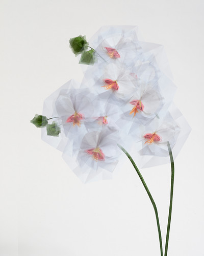Gardening (Orchideen), 2015, Origami, Giclee-Druck, 90x72cm