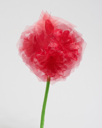 Gardening (Amaryllis), 2015, Origami, Giclee-Druck, 90x72cm