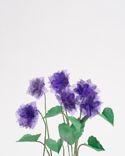 Gardening (6 Veilchen), 2015, Origami, Giclee-Druck, 40x50cm