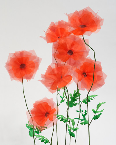 Gardening (Mohn), 2015, Origami, Giclee-Druck , 90x72 cm