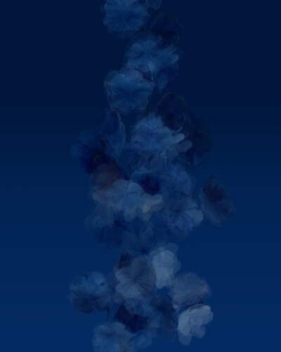blaue Blume, Giclee-Druck, 2022, 50x40 cm