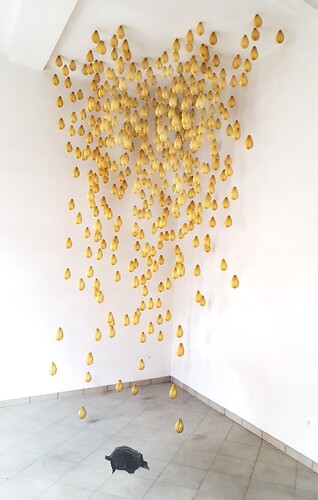 Regen, Schildkröte (Foto: Margarete Schrüfer)