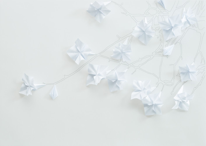 Blütenschau, Dia 29 von 30