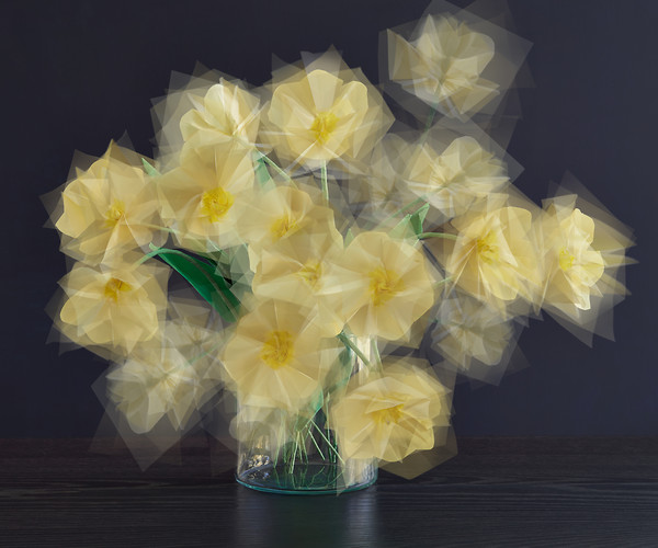 Tulpen_ offen, 2014, Origami, Giclee-Druck, 100x130cm (Foto: Jens Wegener)