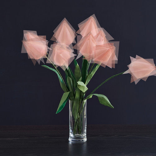 Tulpen_ geschlossen, 2014, Origami, Giclee-Druck, 100x100cm (Foto: Jens Wegener)